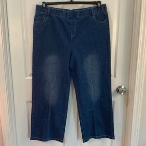 PULL ON ELASTIC WAIST JEANS PLUS SIZE 2X